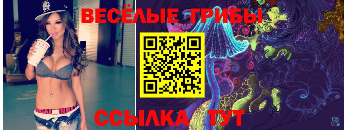 Ступино  Галлюциногенные грибы Psilocybine cubensis  Вход с VPN 